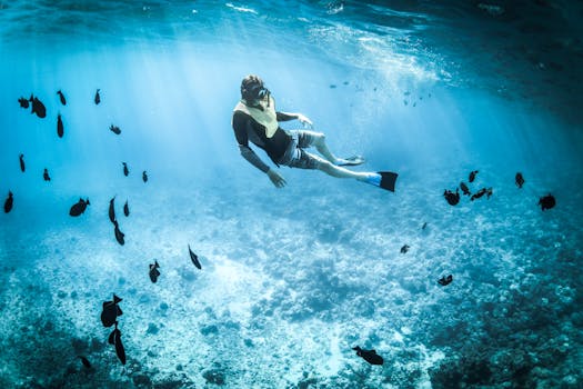 Diving Guide to the Great Barrier Reef