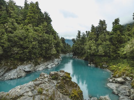 Navigating New Zealand’s Great Walks